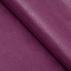 Бумага тишью, палитра №6, "МИКС", 50 х 66 см (комплект 10 шт) - фото 25430855