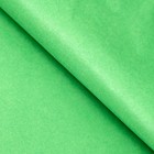 Бумага тишью, палитра №6, "МИКС", 50 х 66 см (комплект 10 шт) - фото 25430856