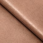 Бумага тишью, палитра №6, "МИКС", 50 х 66 см (комплект 10 шт) - фото 25430858