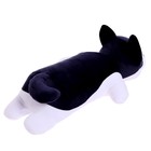Мягкая игрушка «Собака Хаски Сплюша», 50 см - фото 3869880