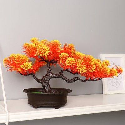 Бонсай в горшке «Звёздник», 16×22 см, МИКС