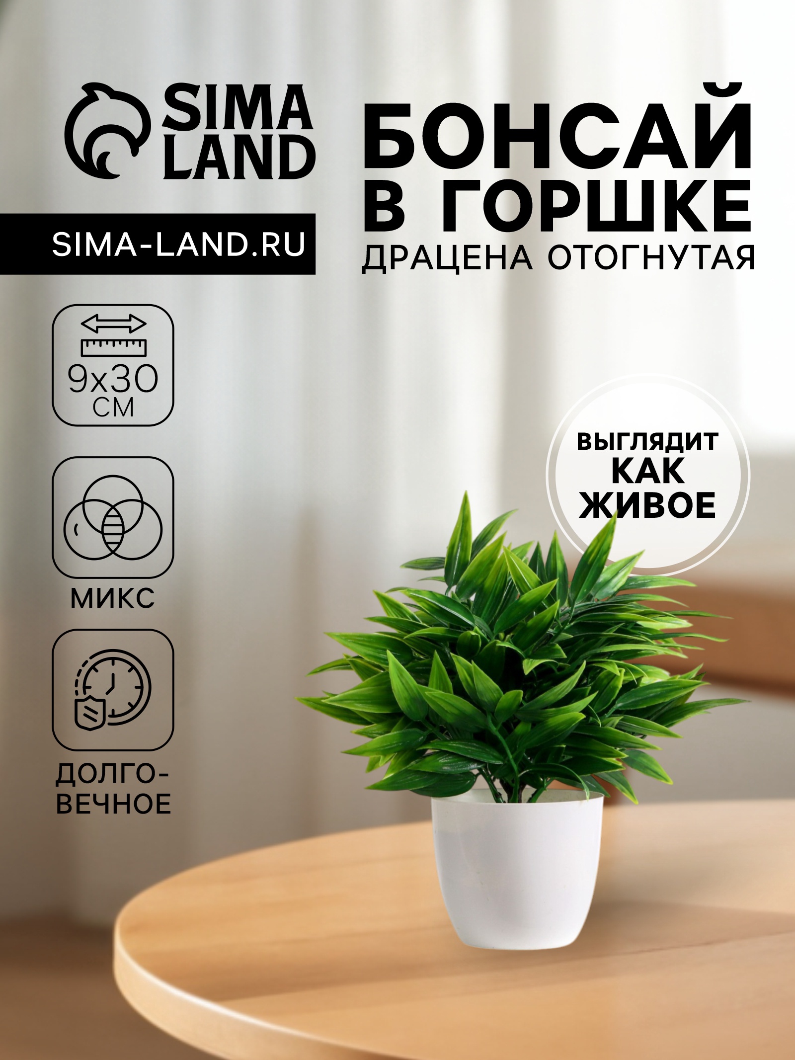 Бонсай в горшке "Драцена отогнутая" 9х30 см (7081301) - Купить по цене ...