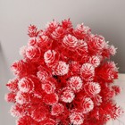 Бонсай "Кабомба" 9х27 см, микс - фото 24381556