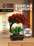Бонсай в горшке «Селагинелла африканская», 10×20 см, МИКС - Фото 1