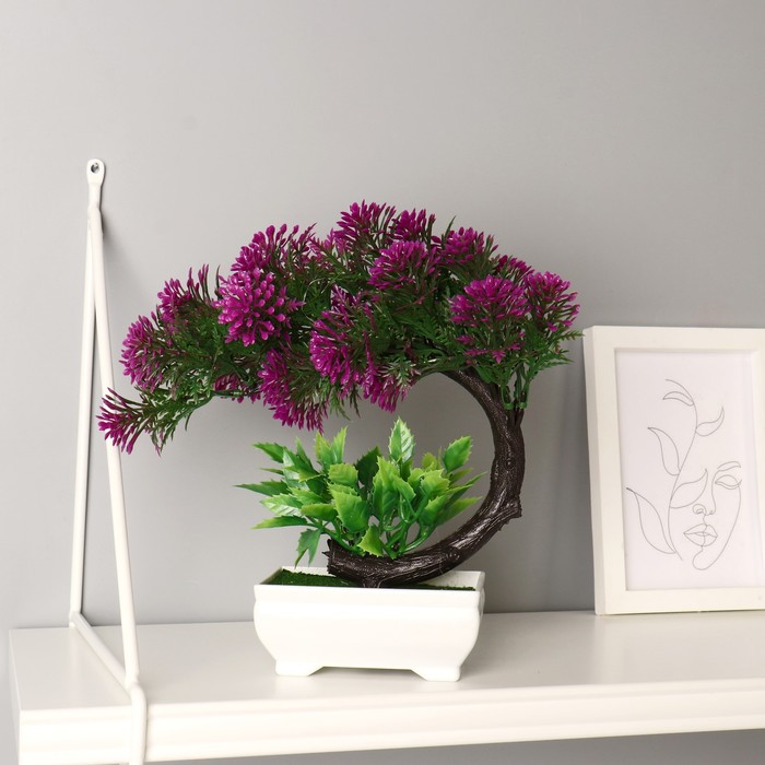 Бонсай в горшке «Селагинелла африканская», 10×20 см, МИКС - Фото 1