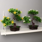 Бонсай "Рододендрон японский" 16х26 см, микс - фото 24523336