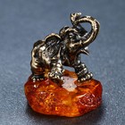 Сувенир "Слон", 4,5х5 см, латунь, янтарь - Фото 2