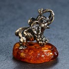 Сувенир "Слон", 4,5х5 см, латунь, янтарь - Фото 3