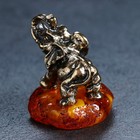 Сувенир "Слон", 4,5х5 см, латунь, янтарь - Фото 4