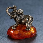 Сувенир "Слон", 4,5х5 см, латунь, янтарь - Фото 5