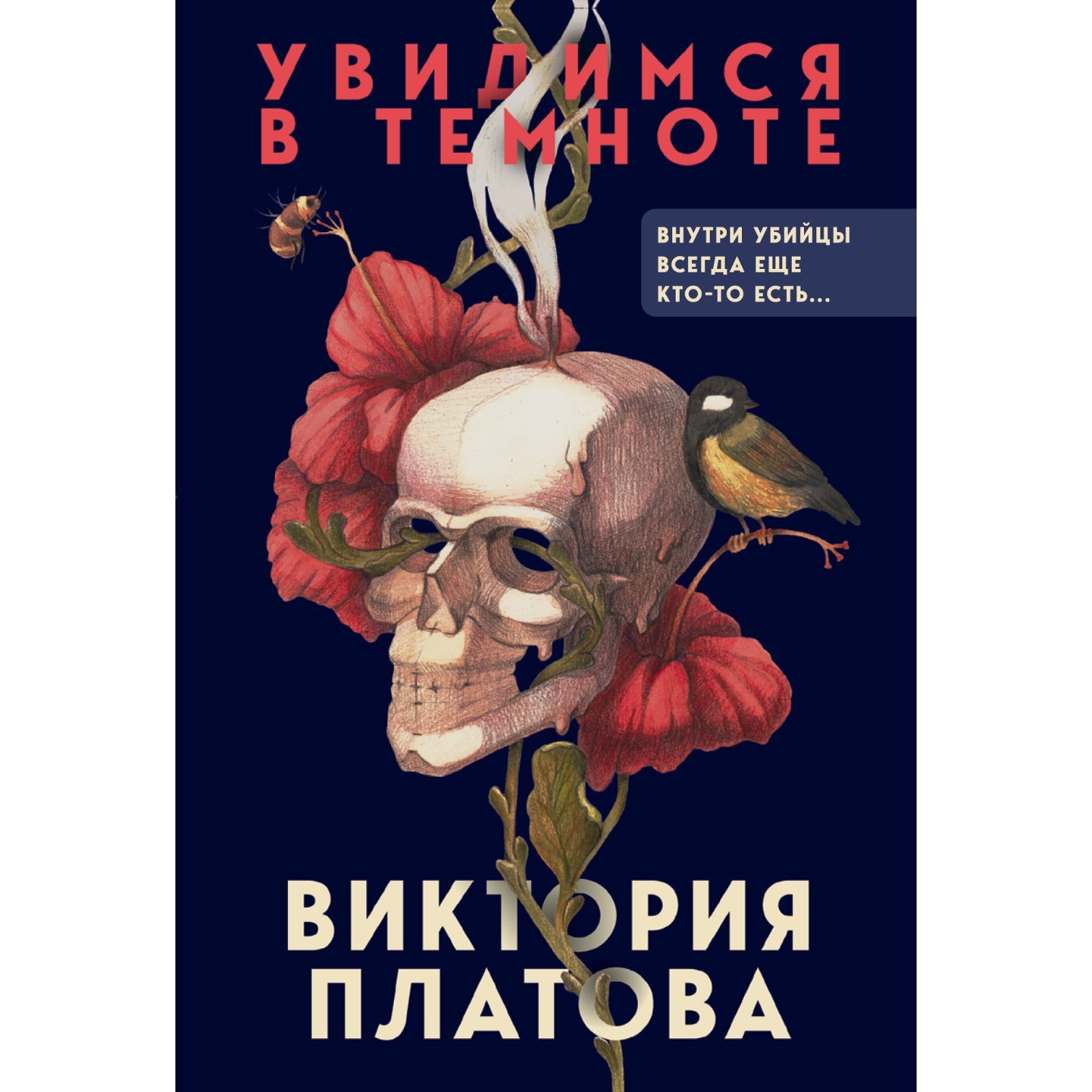Увидимся в кошмаре. Увидимся в темноте. Платова увидимся в темноте аудиокнига. Книга в темноте.