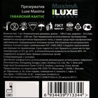 Презервативы «Luxe» Maxima Гавайский кактус, 1 шт  (артикул 7706999)  большой выбор товаров оптом и в розницу по низким ценам с доставкой