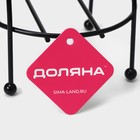 Держатель-стойка для туалетной бумаги Доляна, цвет чёрный - Фото 5