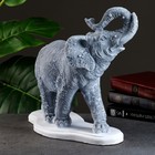 Копилка "Слон индийский" антик, 32х15х36см - фото 10420217