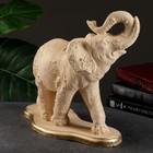 Копилка "Слон индийский" слоновая кость, 32х15х36см - фото 6552353