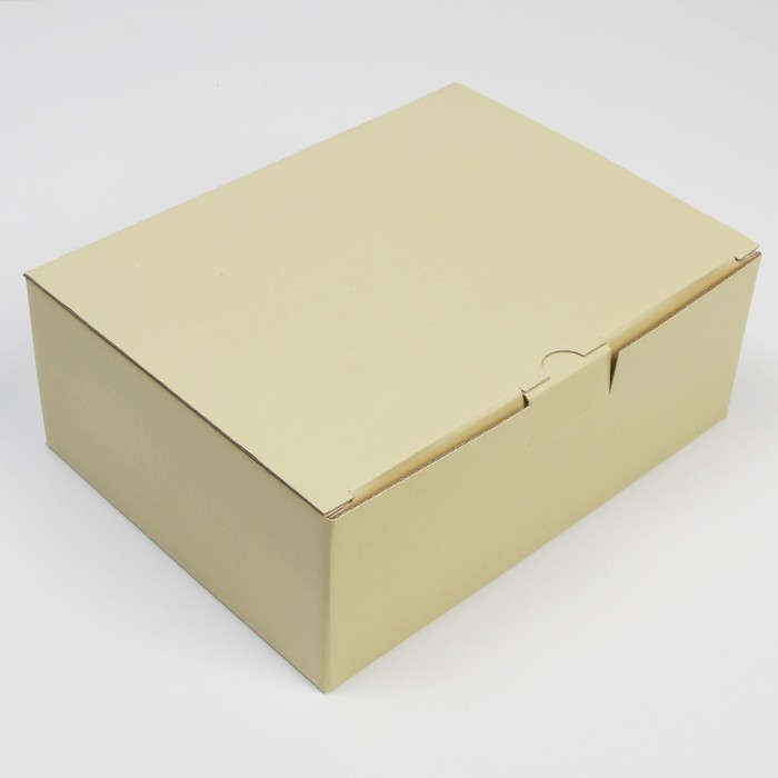 Коробка подарочная складная, упаковка, «Бежевая», 26 х 19 х 10 см