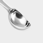 Ложка для мороженого Volt, 17,3×4,2×2,3 см, нержавеющая сталь, цвет серебряный - Фото 5
