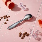 Ложка для мороженого Volt, 17.3×4.2×2.3 см, нержавеющая сталь, серебристая - Фото 6