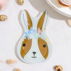 Блюдо стеклянное сервировочное Доляна «Цветочный кролик», 20×13,5 см - фото 6552869
