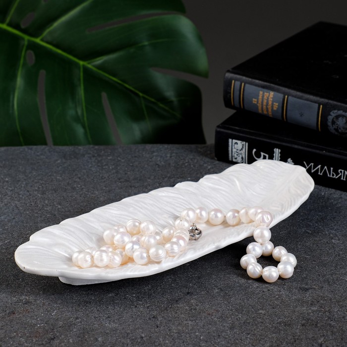 Подставка для мелочей «Перо», гипс под перламутр, 22×8×3 см