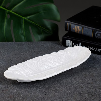 Подставка для мелочей «Перо», гипс под перламутр, 22×8×3 см