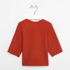 Лонгслив детский, цвет терракотовый, рост 68 - фото 46427007