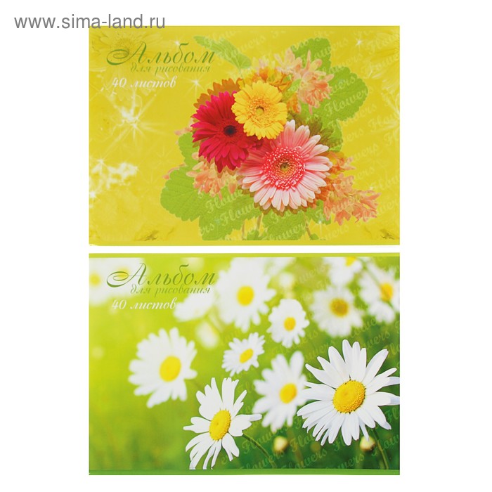 Альбом для рисования А4, 40 листов на скрепке Beautifull Flowers, обложка мелованный картон, блок офсет 100 г/м2, МИКС - Фото 1