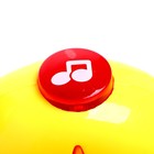 Музыкальная игрушка «Музыкальная черепашка», звук, свет, цвета МИКС - фото 24314325