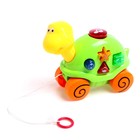 Музыкальная игрушка «Музыкальная черепашка», звук, свет, цвета МИКС - фото 24314326