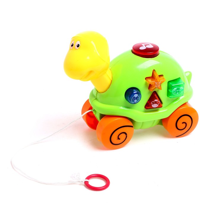 Музыкальная игрушка «Музыкальная черепашка», звук, свет, цвета МИКС 53104