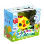 Музыкальная игрушка «Музыкальная черепашка», звук, свет, цвета МИКС - фото 24314327