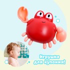 Игрушка заводная «Краб», водоплавающая, цвета МИКС - Фото 3