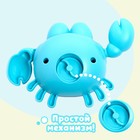 Игрушка заводная «Краб», водоплавающая, цвета МИКС - Фото 4