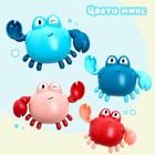 Игрушка заводная «Краб», водоплавающая, цвета МИКС - Фото 5