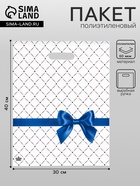 Пакет «Синий бантик», полиэтиленовый, с вырубной ручкой, 40×31 см, 30 мкм - Фото 1