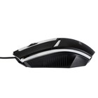 Мышь Perfeo Face, игровая, проводная, подсветка, 1000 dpi, USB, чёрная - фото 51300889 Мышь Perfeo Face, игровая, проводная, подсветка, 1000 dpi, USB, чёрная - фото 51300889