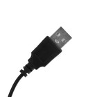 Мышь Perfeo Face, игровая, проводная, подсветка, 1000 dpi, USB, чёрная - фото 51300891 Мышь Perfeo Face, игровая, проводная, подсветка, 1000 dpi, USB, чёрная - фото 51300891