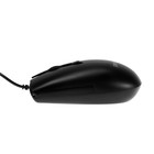 Мышь Perfeo Raft, проводная, оптическая, 1600 dpi, USB, чёрная - Фото 4