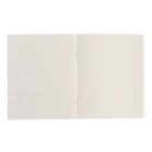 Комплект тетрадей из 5 штук (4 разные + 1 повторяющаяся), 36 листов в клетку Calligrata "Кошки", обложка мелованная бумага, блок №2, белизна 75% (серые листы) - фото 25269969