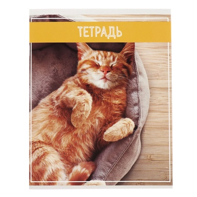 Комплект тетрадей из 5 штук (4 разные + 1 повторяющаяся), 36 листов в клетку Calligrata «Кошки», обложка мелованная бумага, блок №2, белизна 75% (серые листы)