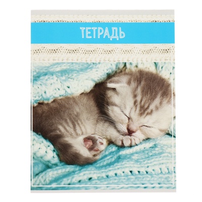 Комплект тетрадей из 5 штук (4 разные + 1 повторяющаяся), 36 листов в клетку Calligrata «Кошки», обложка мелованная бумага, блок №2, белизна 75% (серые листы)