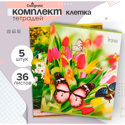 Набор тетрадей 36 листов в клетку, Calligrata «Бабочки», серые листы, 5 штук