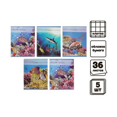 Набор тетрадей 36 листов в клетку, Calligrata «Океан», обложка мелованная бумага, серые листы, 5 шт.