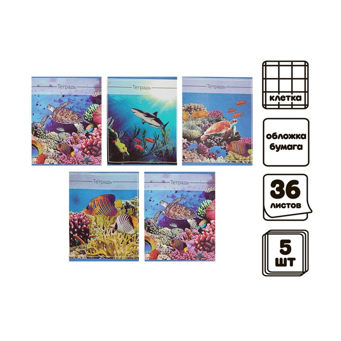 Набор тетрадей 36 листов в клетку, Calligrata «Океан», обложка мелованная бумага, серые листы, 5 шт.