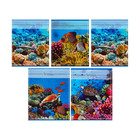 Набор тетрадей 36 листов в клетку, Calligrata «Океан», обложка мелованная бумага, серые листы, 5 шт. - Фото 2