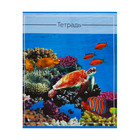 Набор тетрадей 36 листов в клетку, Calligrata «Океан», обложка мелованная бумага, серые листы, 5 шт. - Фото 5