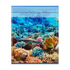 Набор тетрадей 36 листов в клетку, Calligrata «Океан», обложка мелованная бумага, серые листы, 5 шт. - Фото 8