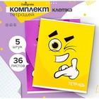 Комплект тетрадей из 5 штук, 36 листов в клетку Calligrata "Смайлики", обложка мелованный картон, блок офсет - фото 24537545