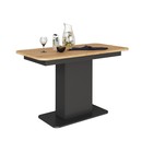 Антрацит/дуб крафт золотой