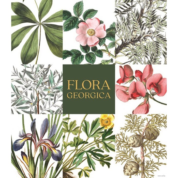 Flora Georgica. Гербарий на фарфоре